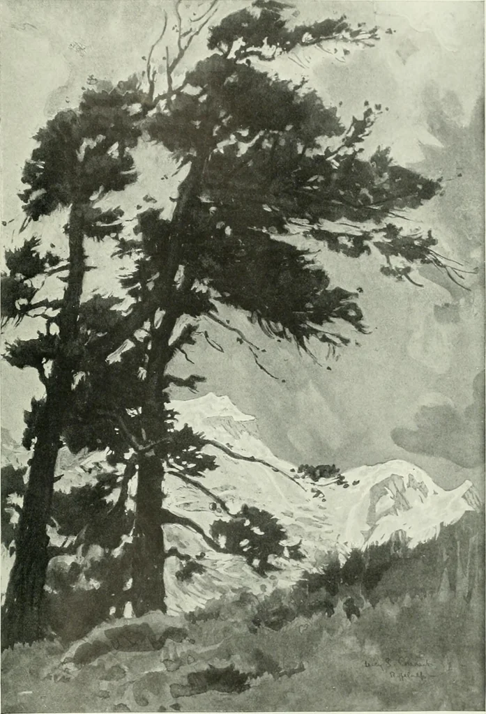An illustration from International studio, 1897, leaf 456