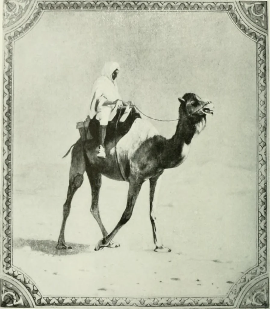 An illustration from International studio, 1897, leaf 49