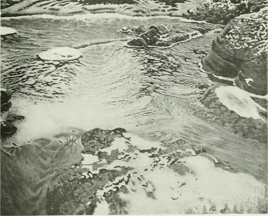 An illustration from International studio, 1897, leaf 76