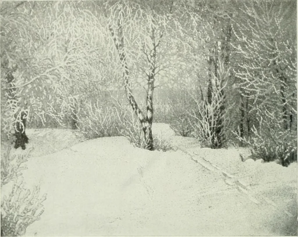 An illustration from International studio, 1897, leaf 77