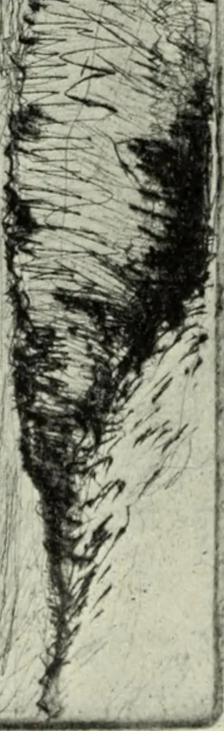 An illustration from International studio, 1897, leaf 137