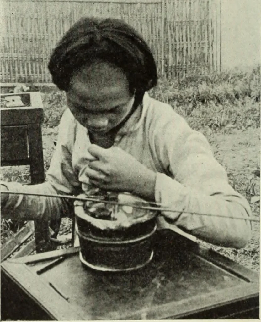 An illustration from International studio, 1897, leaf 153