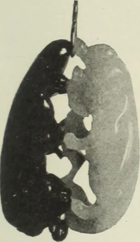 An illustration from International studio, 1897, leaf 158