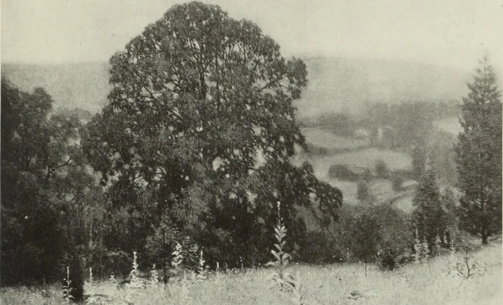 An illustration from International studio, 1897, leaf 22
