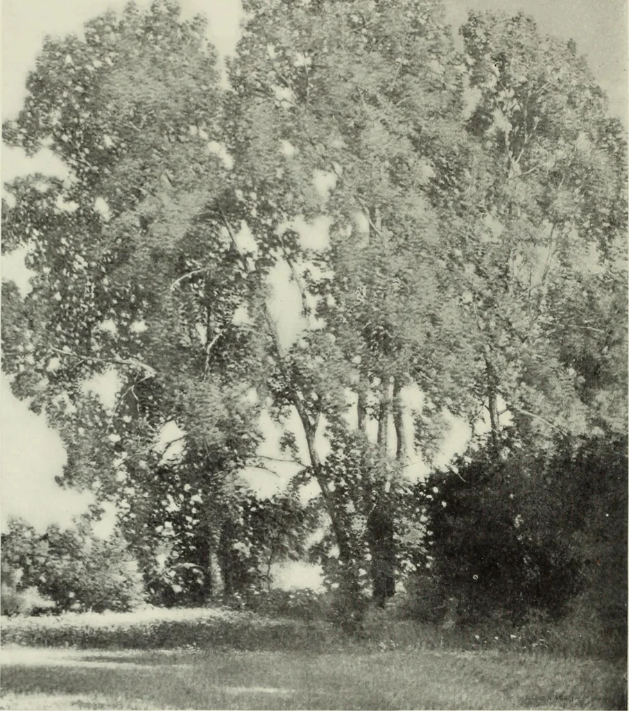 An illustration from International studio, 1897, leaf 23
