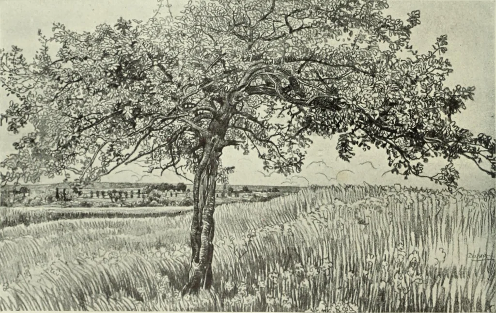 An illustration from International studio, 1897, leaf 255