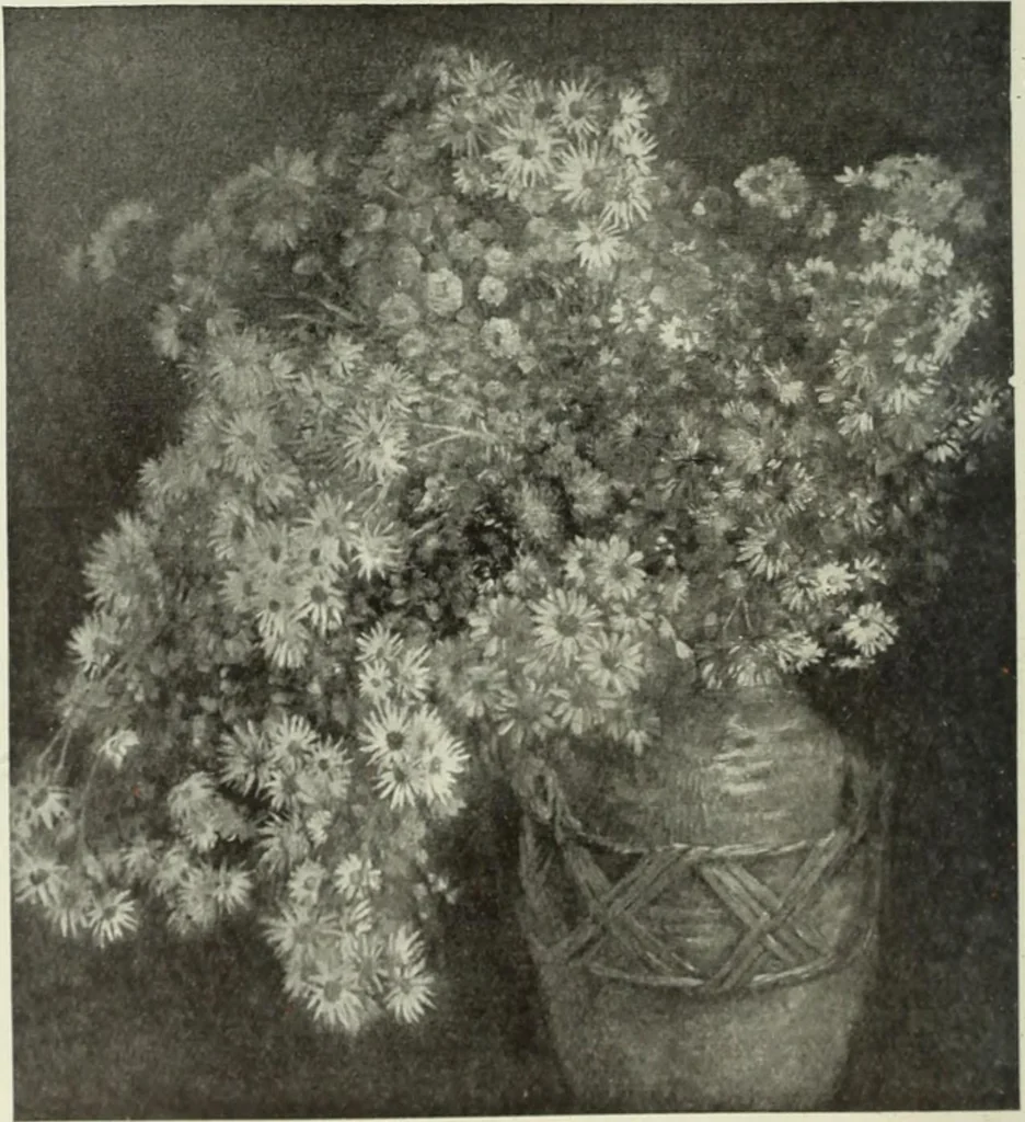 An illustration from International studio, 1897, leaf 271