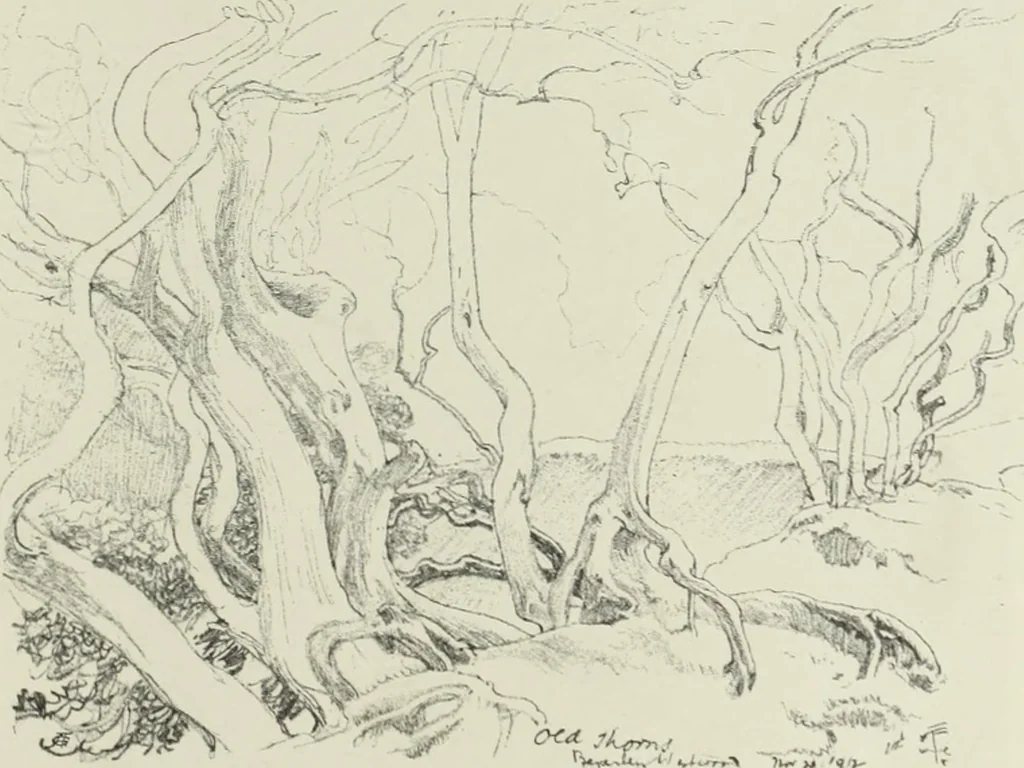 An illustration from International studio, 1897, leaf 276