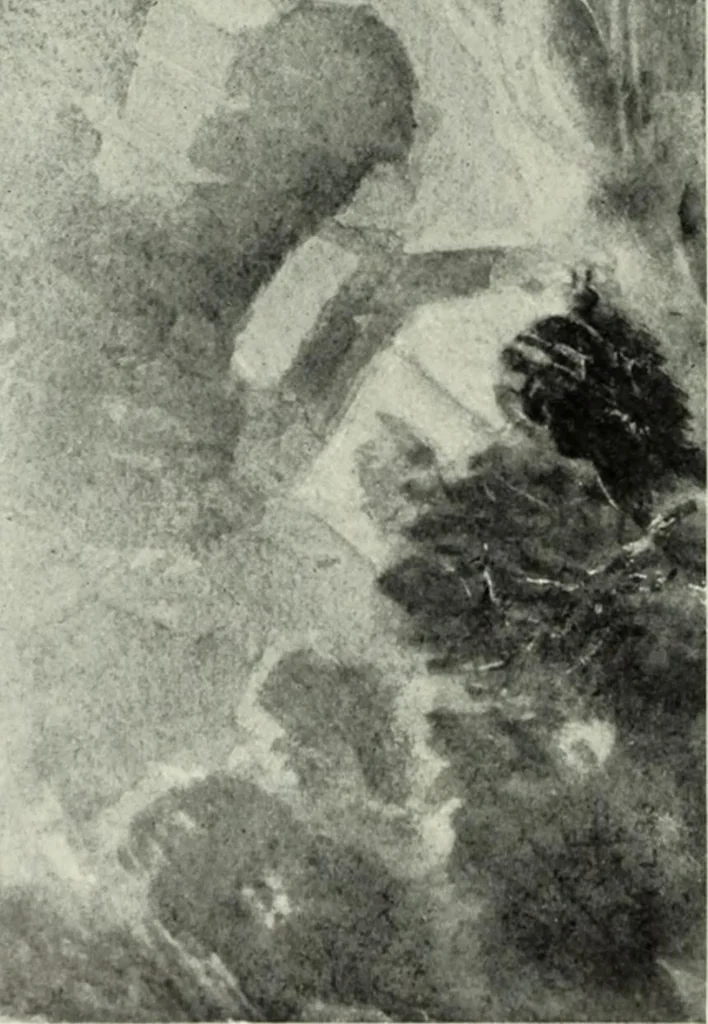 An illustration from International studio, 1897, leaf 281