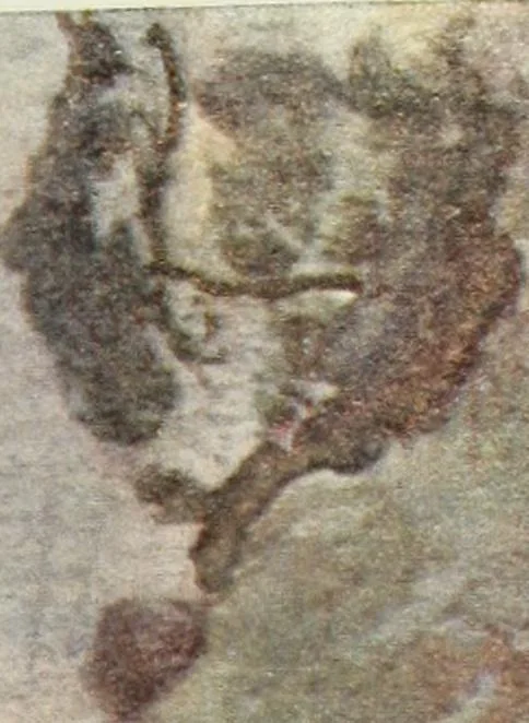 An illustration from International studio, 1897, leaf 284