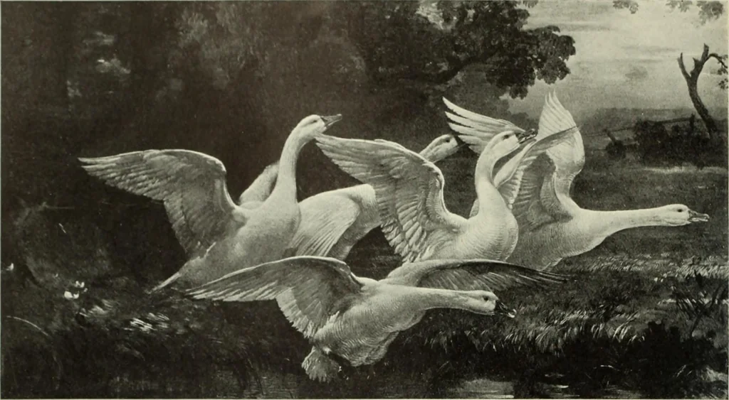 An illustration from International studio, 1897, leaf 351