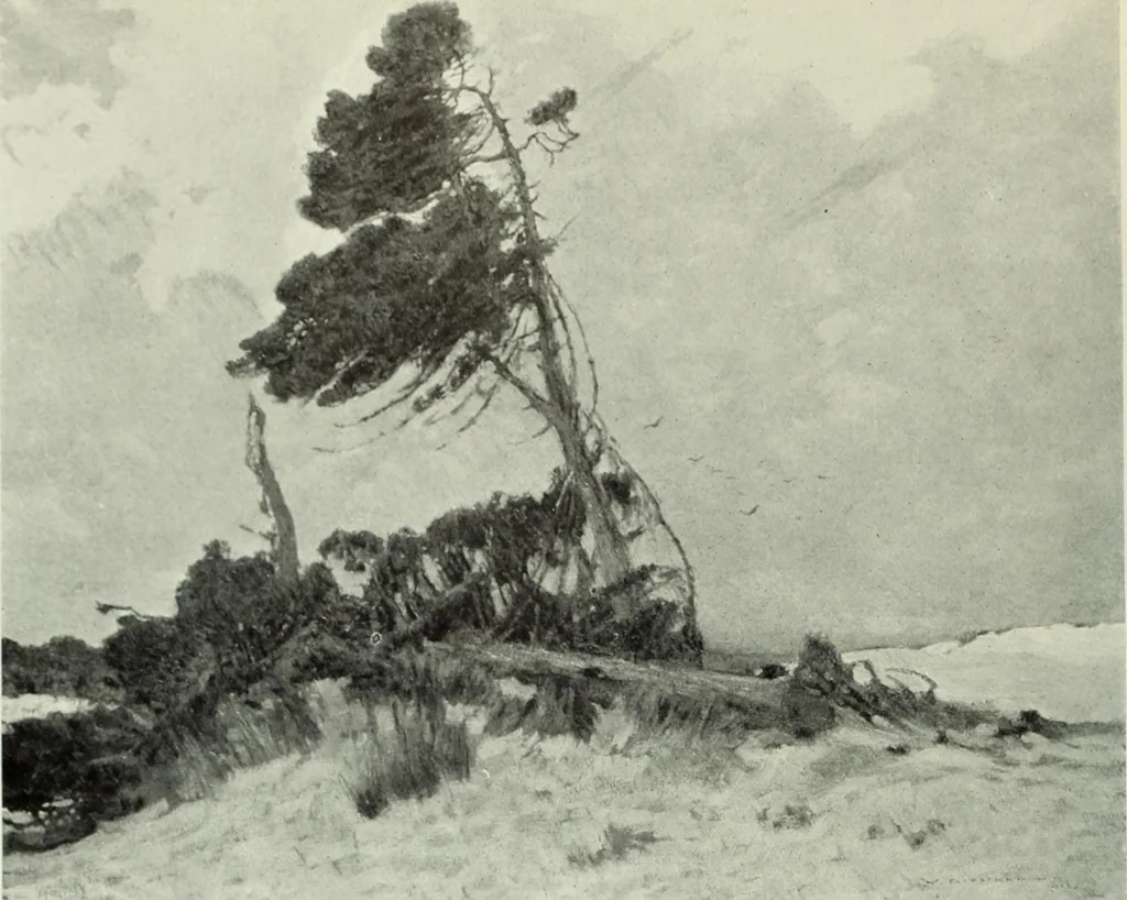 An illustration from International studio, 1897, leaf 353