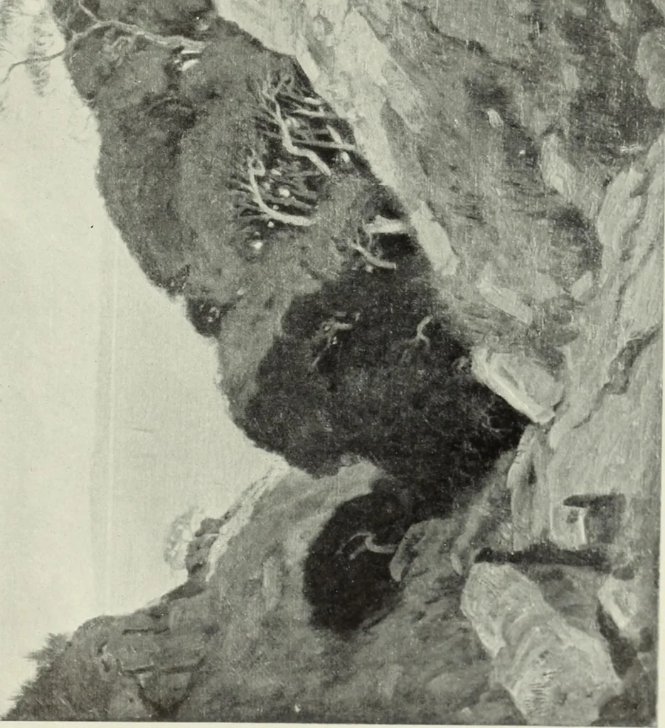 An illustration from International studio, 1897, leaf 434