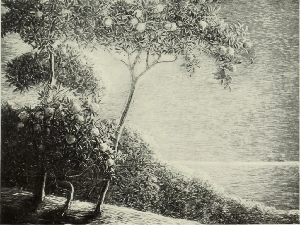 An illustration from International studio, 1897, leaf 72