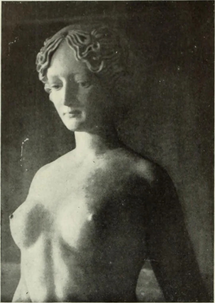 An illustration from International studio, 1897, leaf 99