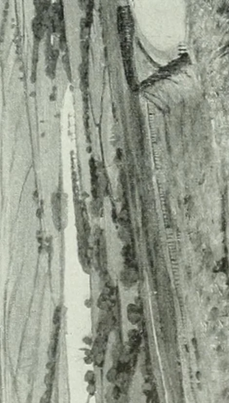 An illustration from International studio, 1897, leaf 116