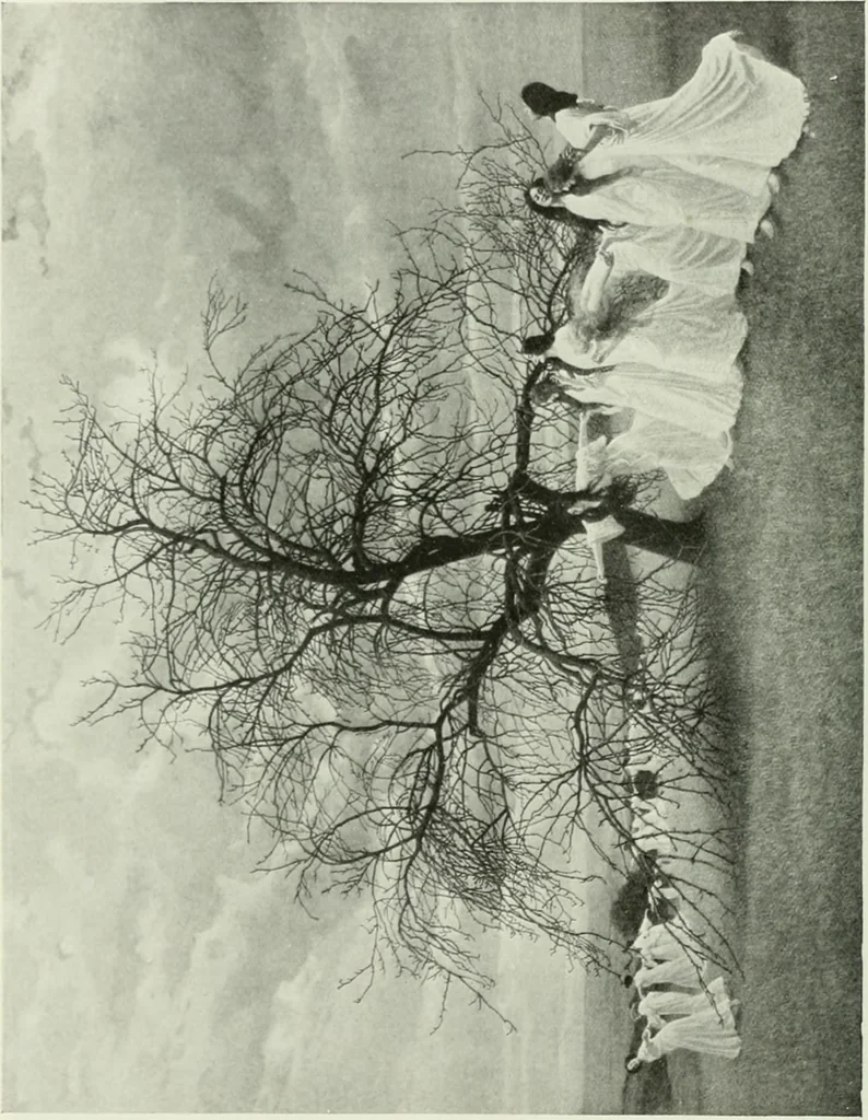 An illustration from International studio, 1897, leaf 161