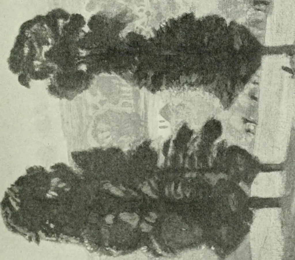 An illustration from International studio, 1897, leaf 178