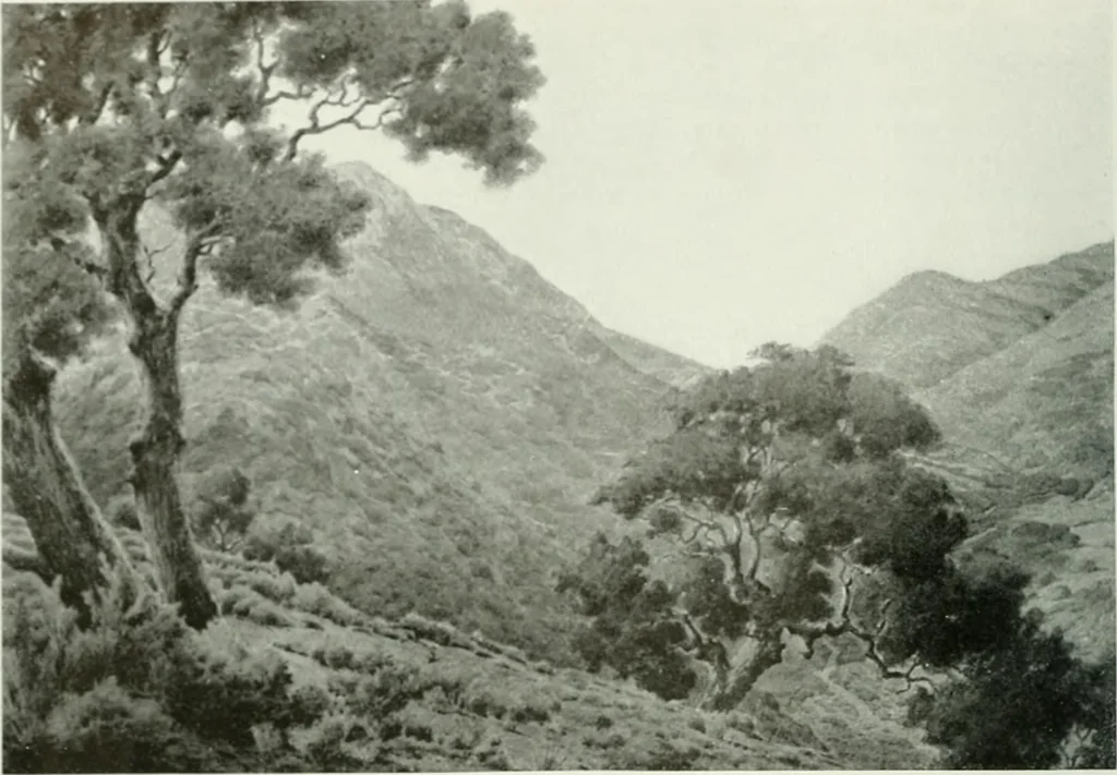 An illustration from International studio, 1897, leaf 19