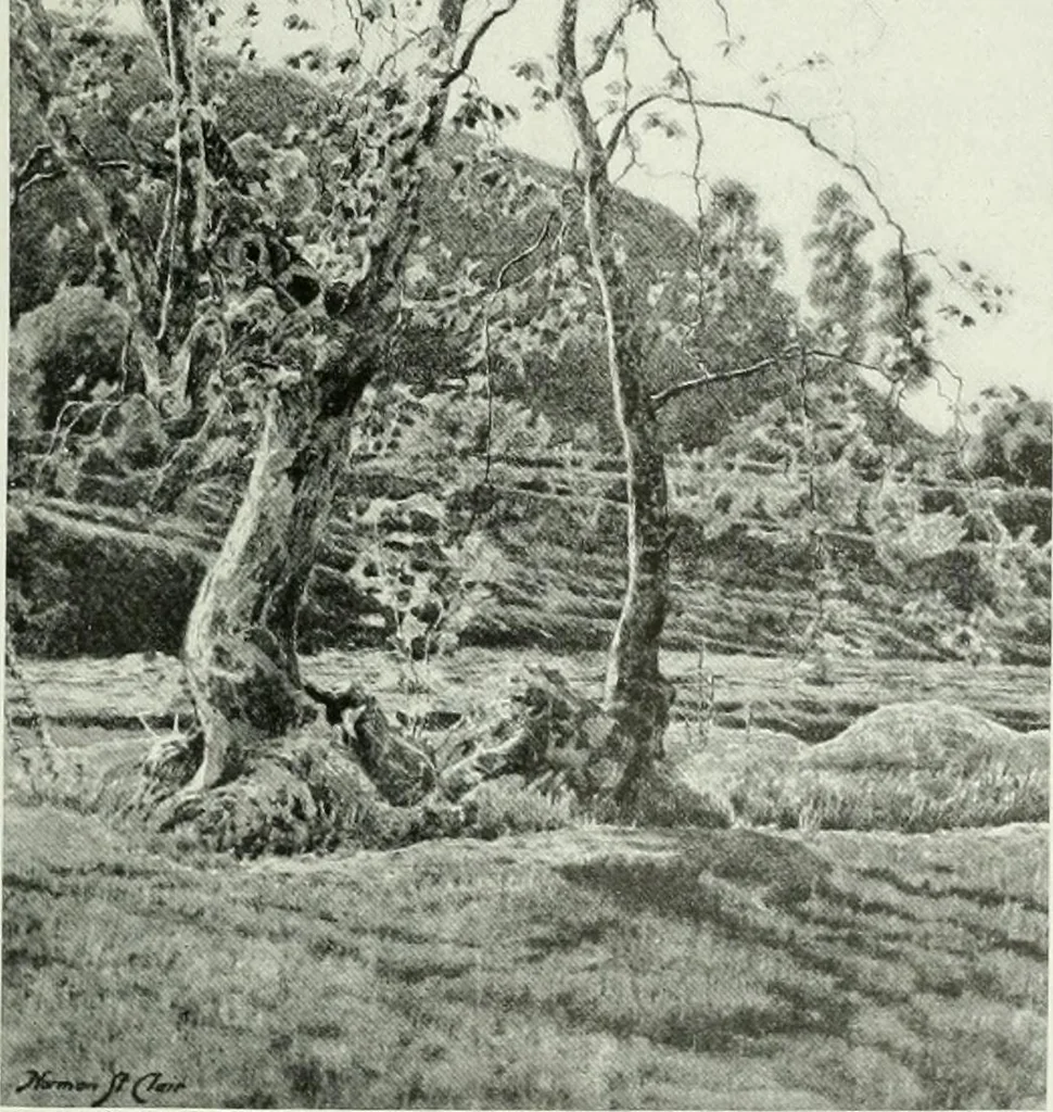 An illustration from International studio, 1897, leaf 20