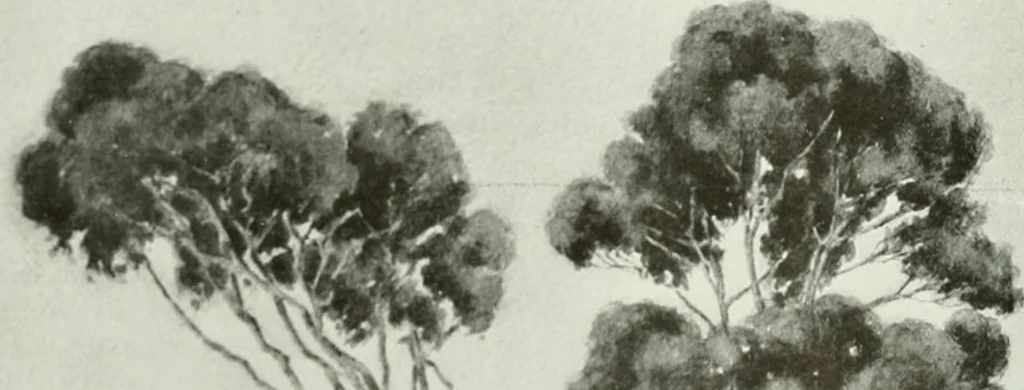 An illustration from International studio, 1897, leaf 21