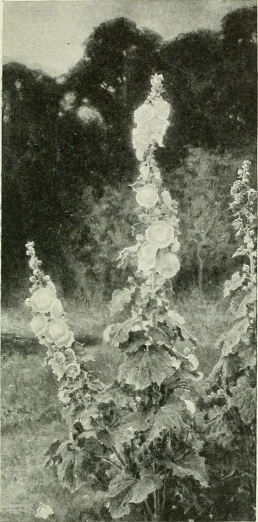 An illustration from International studio, 1897, leaf 252