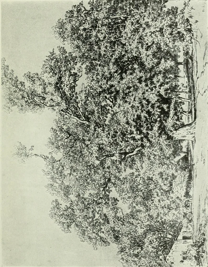 An illustration from International studio, 1897, leaf 272
