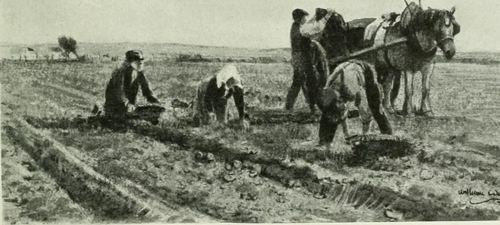 An illustration from International studio, 1897, leaf 312