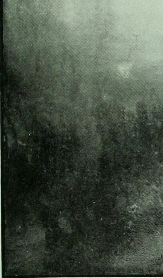 An illustration from International studio, 1897, leaf 314