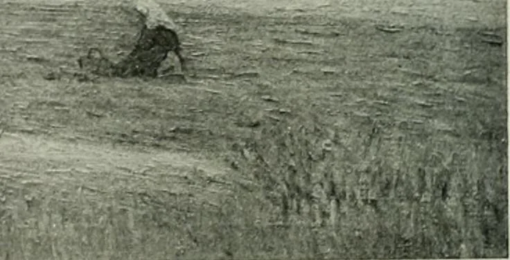 An illustration from International studio, 1897, leaf 317