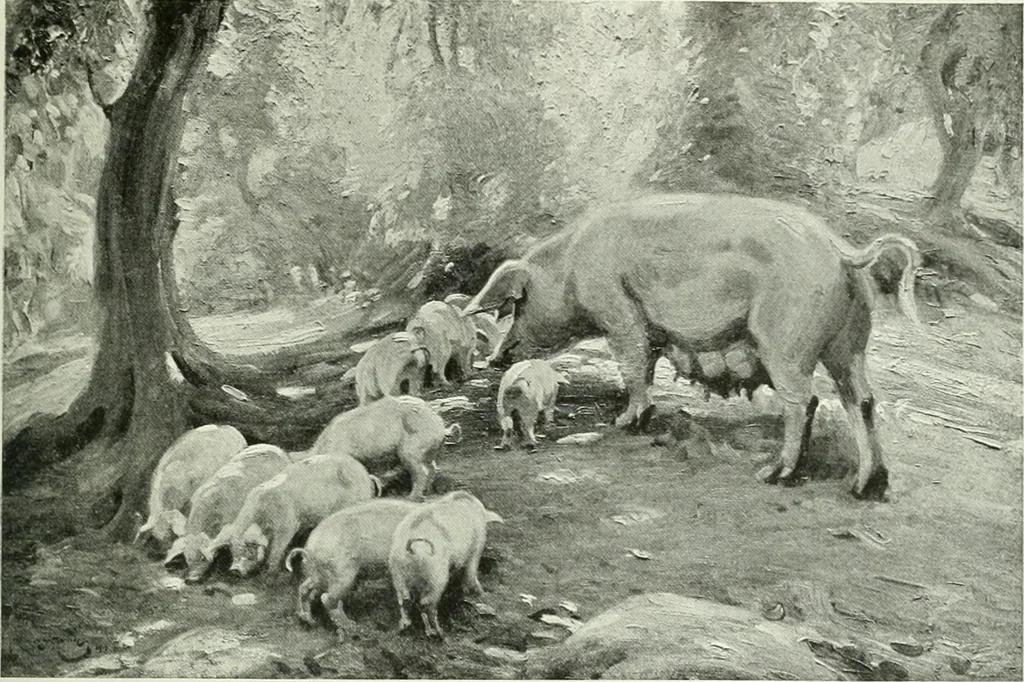 An illustration from International studio, 1897, leaf 342