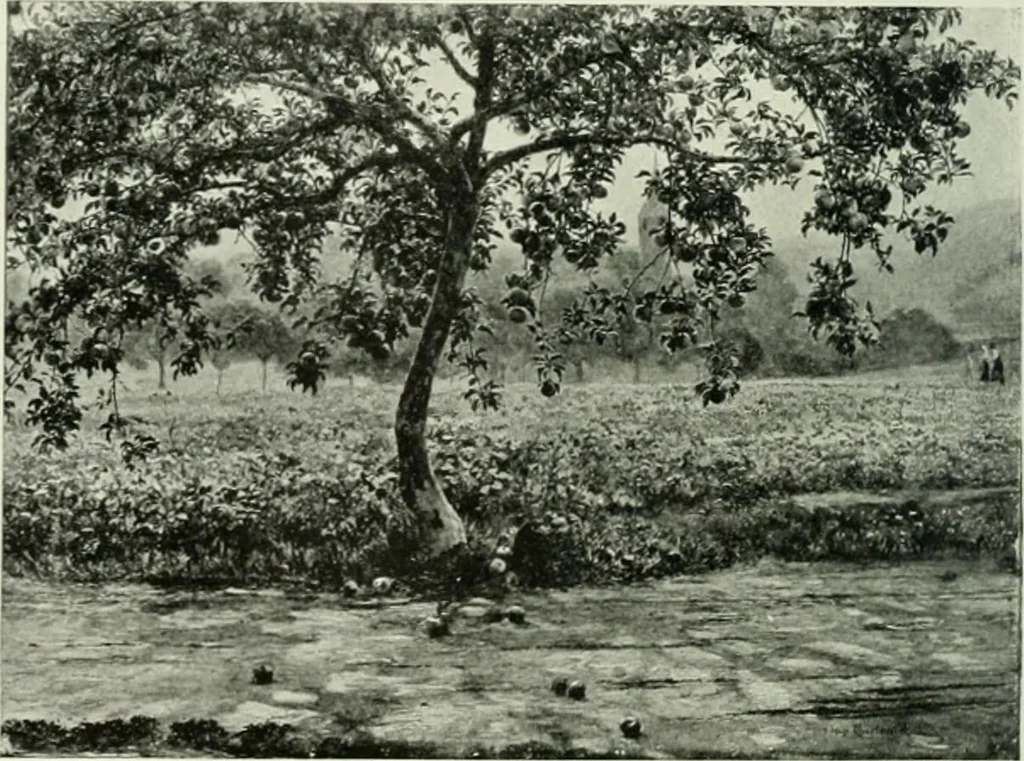 An illustration from International studio, 1897, leaf 407