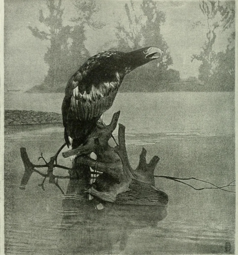An illustration from International studio, 1897, leaf 409
