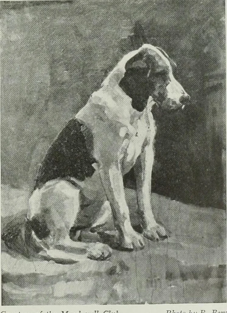 An illustration from International studio, 1897, leaf 104