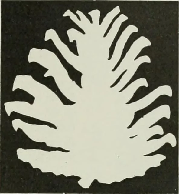 An illustration from International studio, 1897, leaf 182