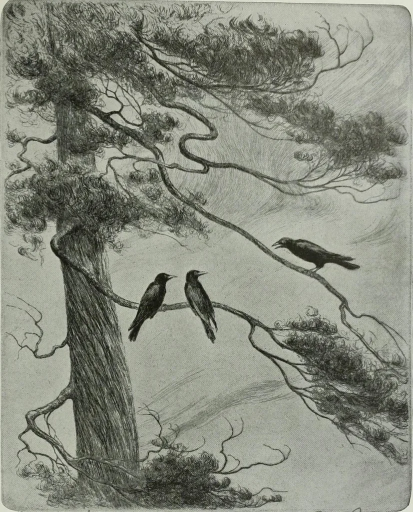 An illustration from International studio, 1897, leaf 20
