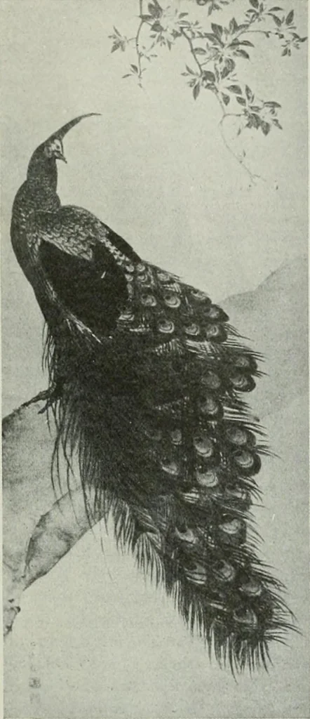 An illustration from International studio, 1897, leaf 224