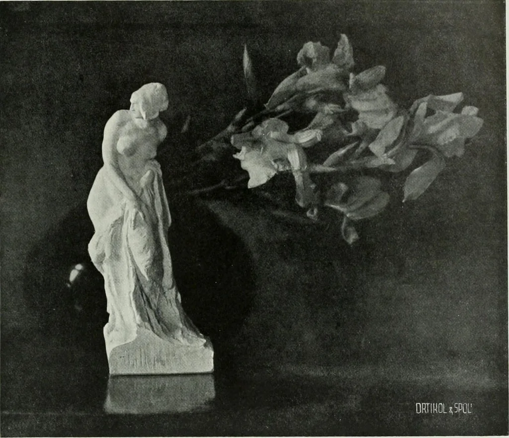 An illustration from International studio, 1897, leaf 274