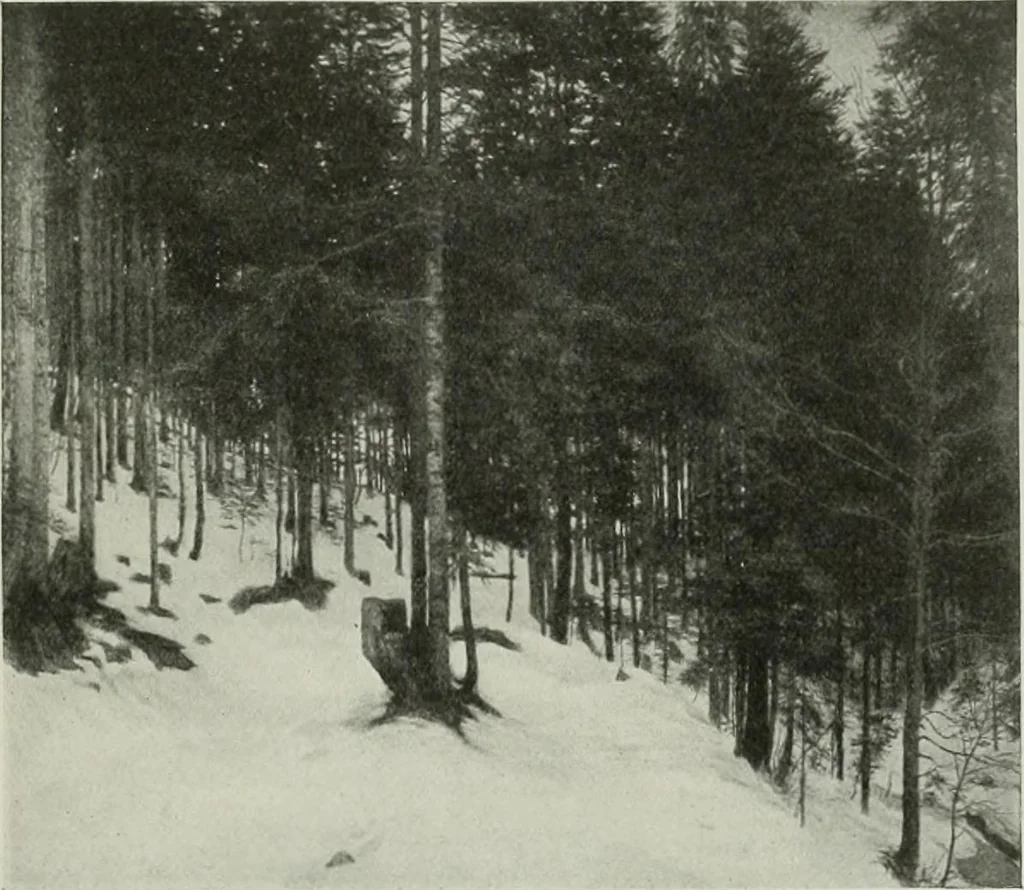 An illustration from International studio, 1897, leaf 296
