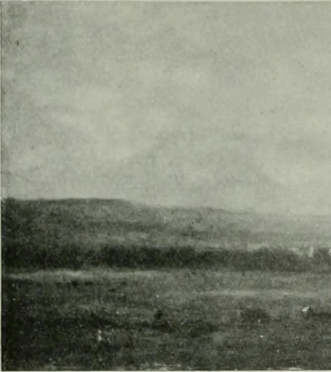 An illustration from International studio, 1897, leaf 349