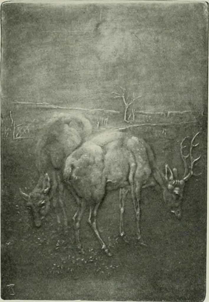 An illustration from International studio, 1897, leaf 374