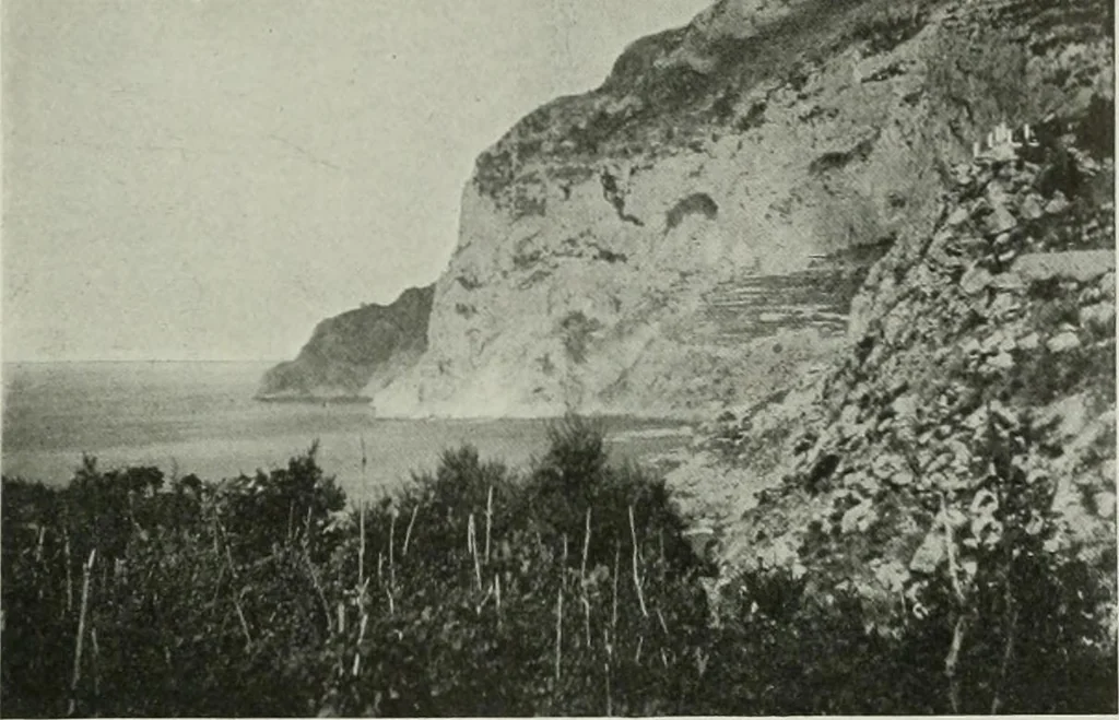 An illustration from International studio, 1897, leaf 418