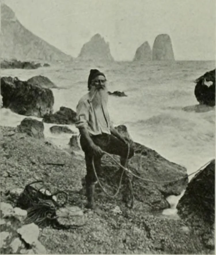 An illustration from International studio, 1897, leaf 419