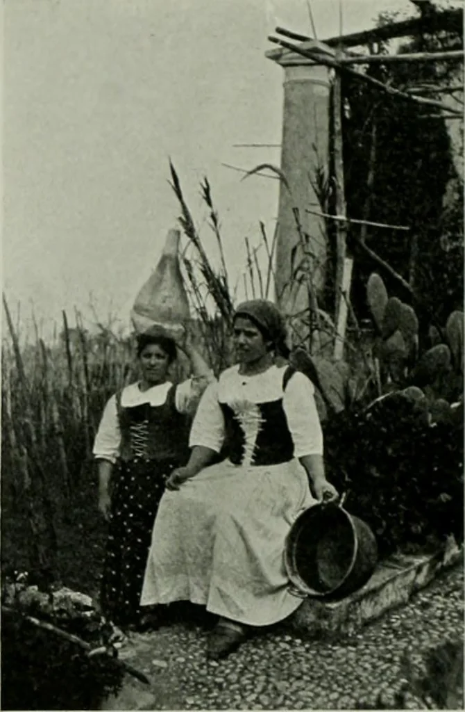An illustration from International studio, 1897, leaf 419