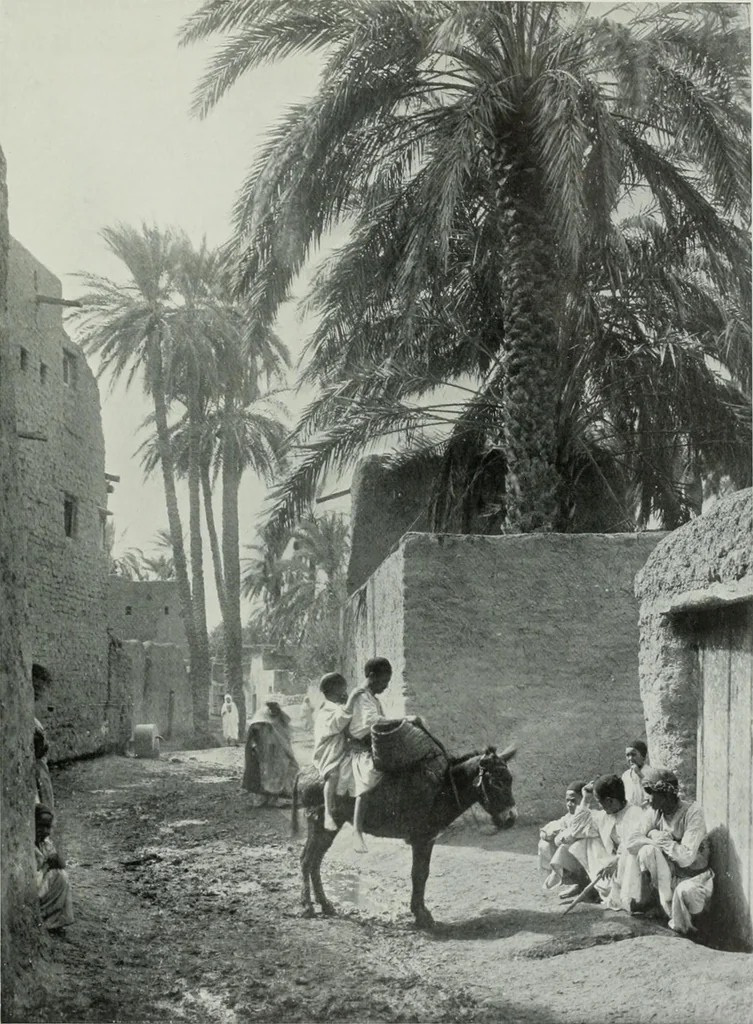 An illustration from International studio, 1897, leaf 426
