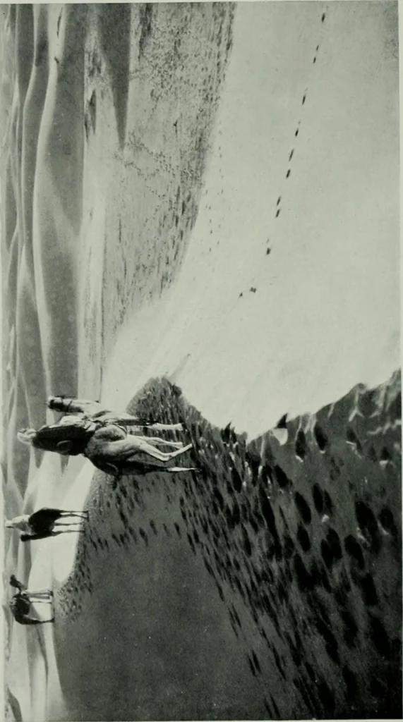 An illustration from International studio, 1897, leaf 427