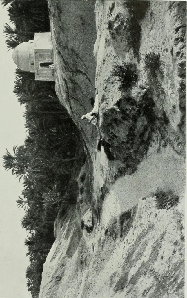 An illustration from International studio, 1897, leaf 428