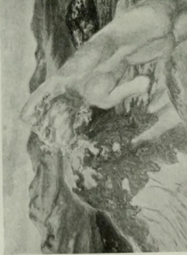 An illustration from International studio, 1897, leaf 451