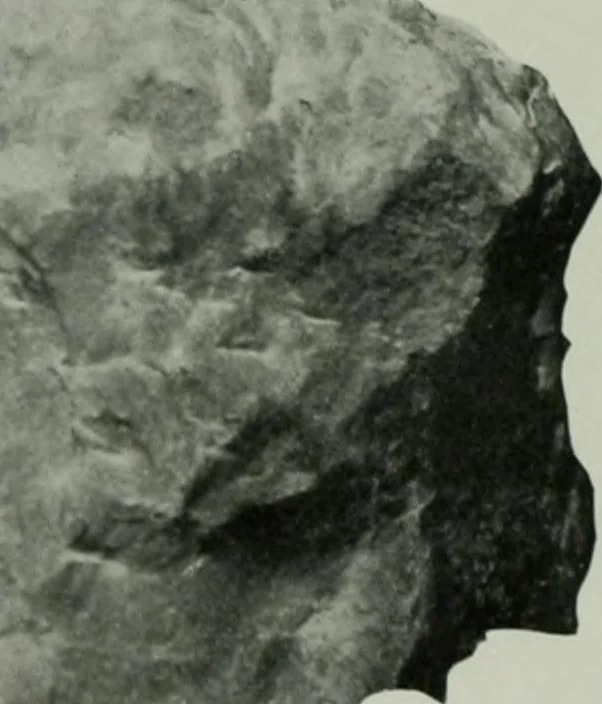 An illustration from International studio, 1897, leaf 51