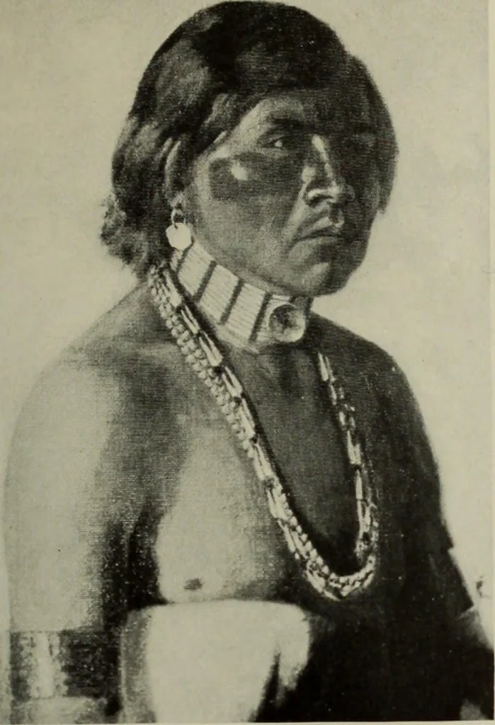 An illustration from International studio, 1897, leaf 106
